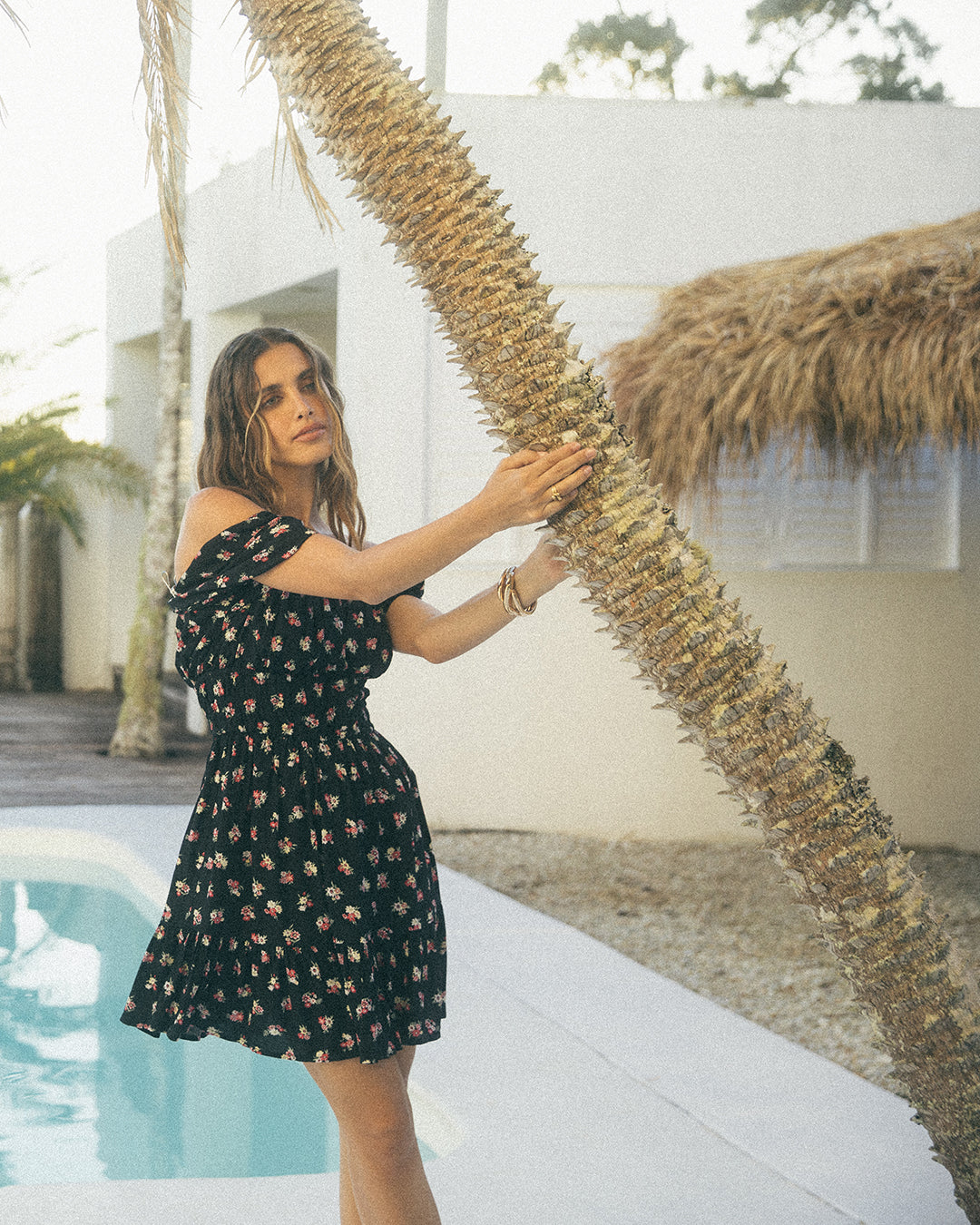 Vienna Mini Dress / Floral print | All About Eve All About Eve